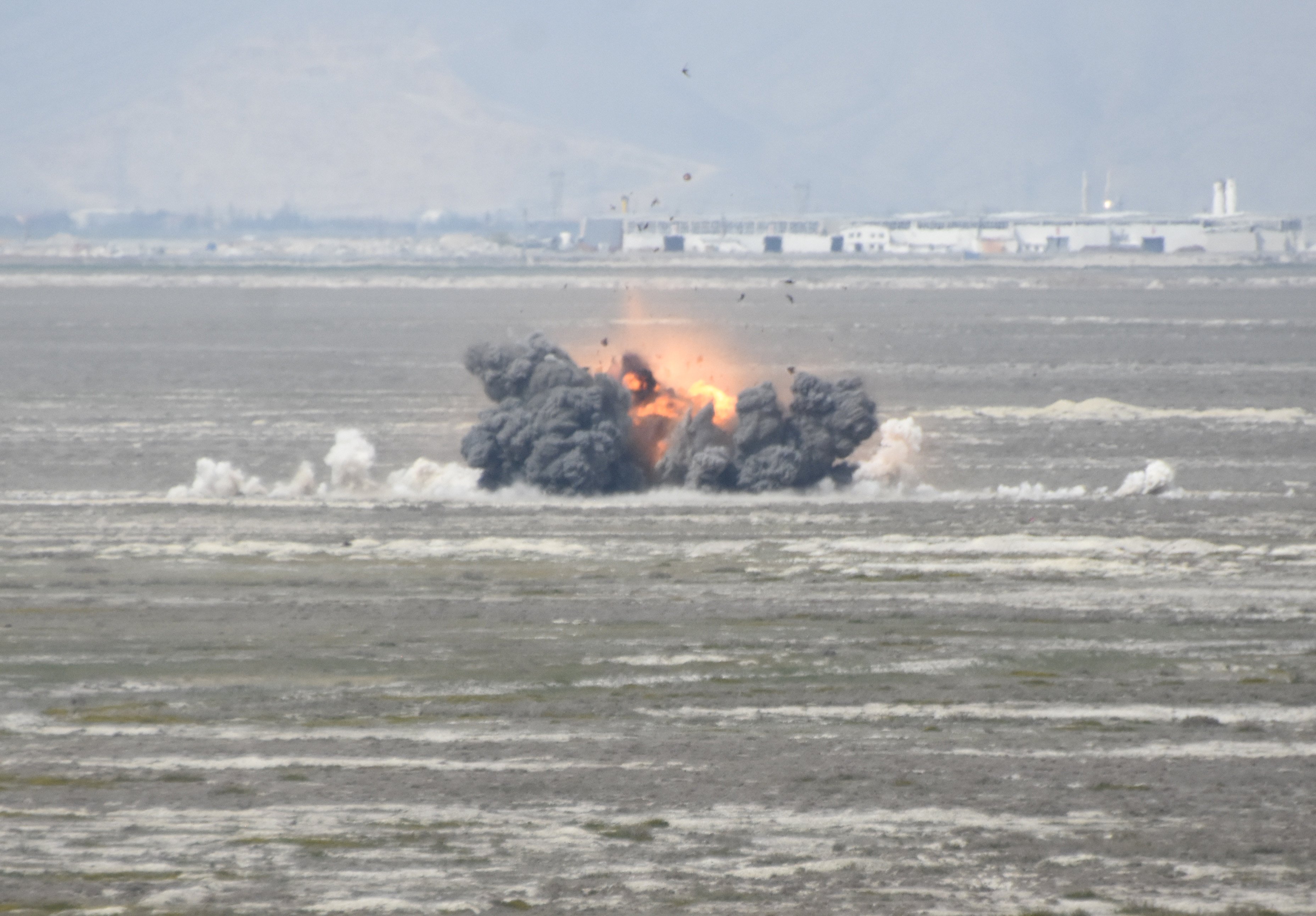 Konya'da düzenlenen Uluslararası Anadolu Ankası-2026