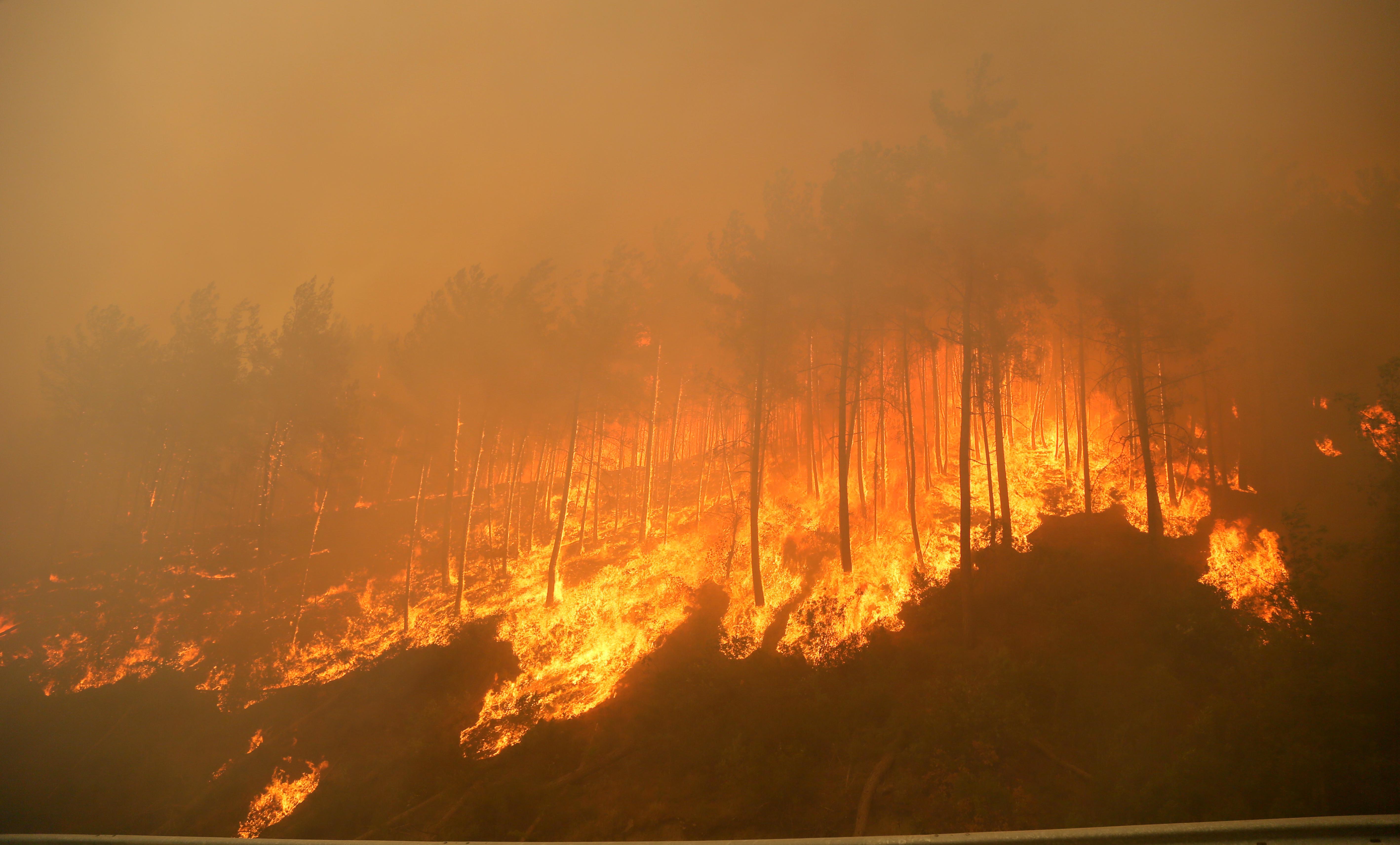 Tarım ve Orman Bakanlığı 2025