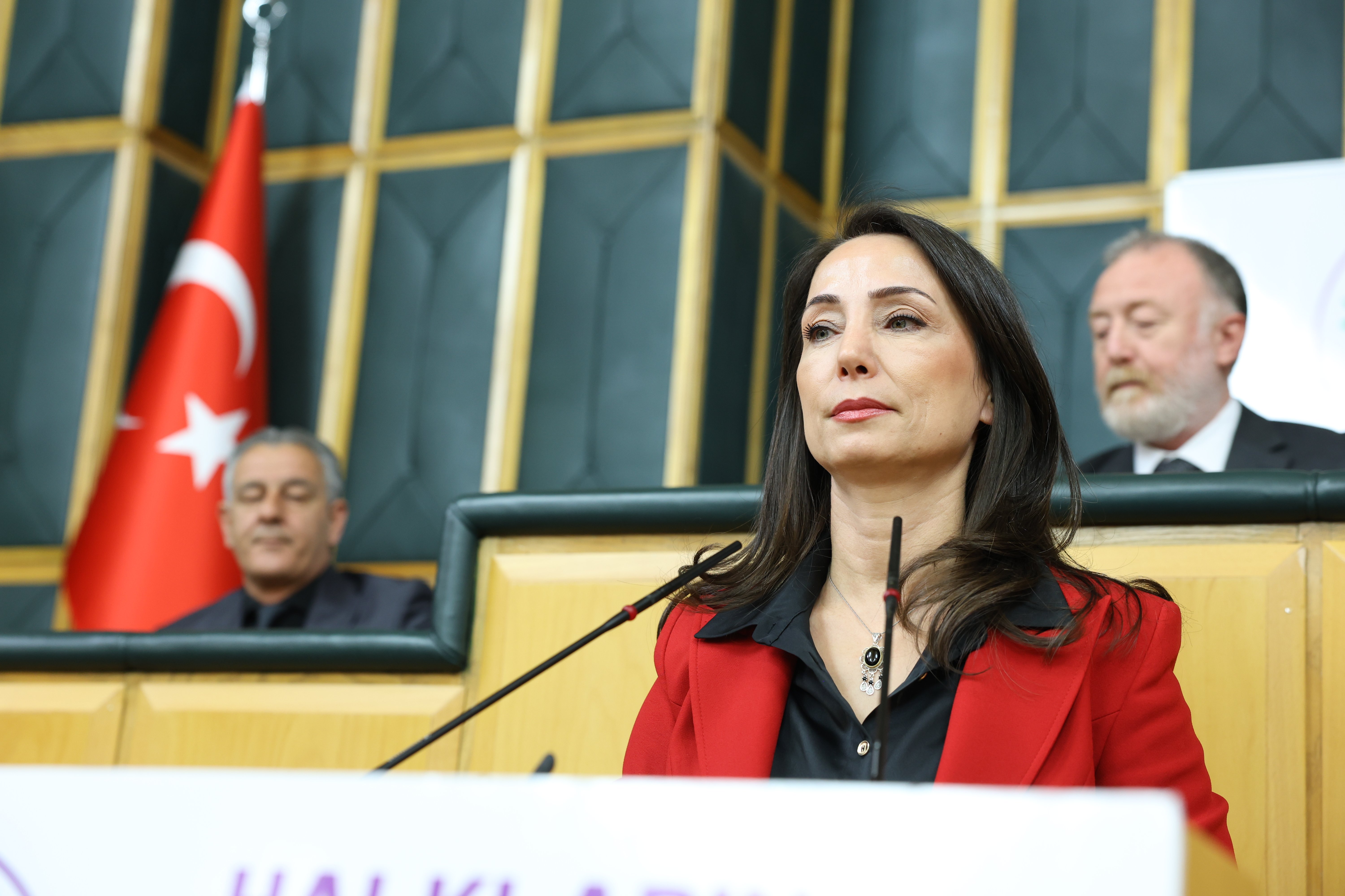 DEM Parti Eş Genel Başkanı