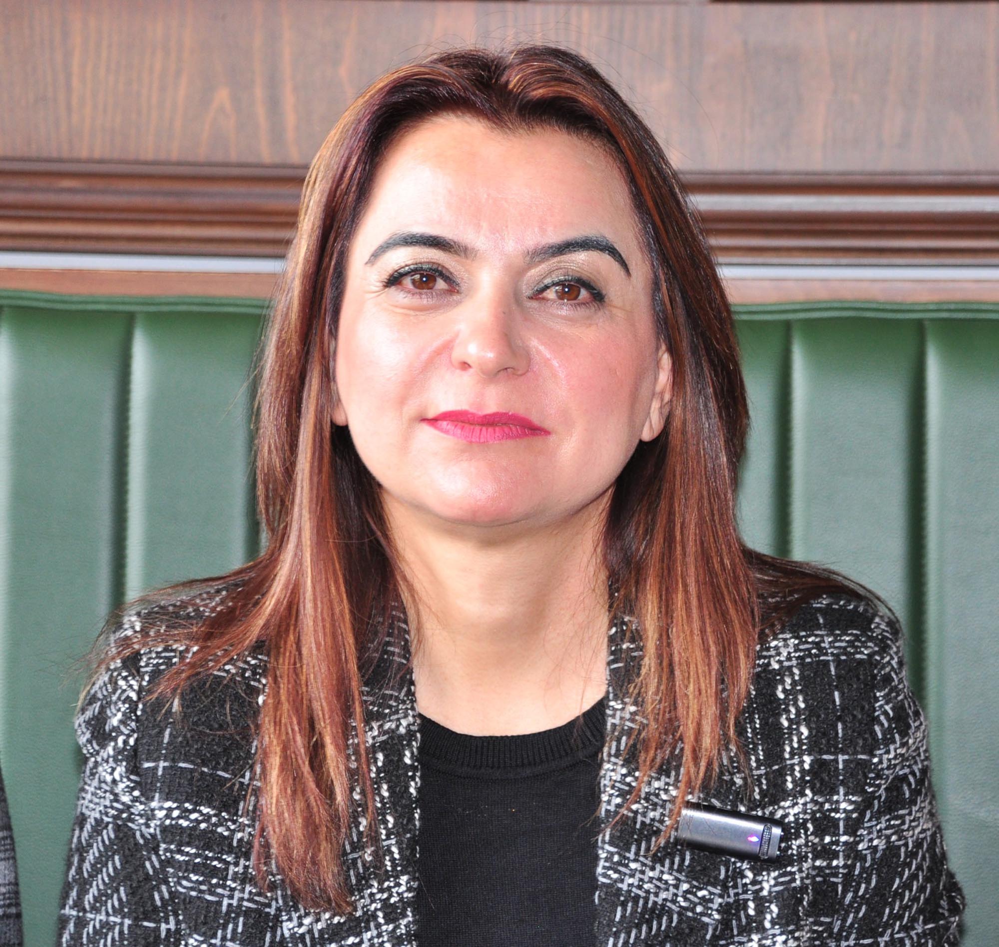 DEM Parti Grup Başkanvekili Gülistan