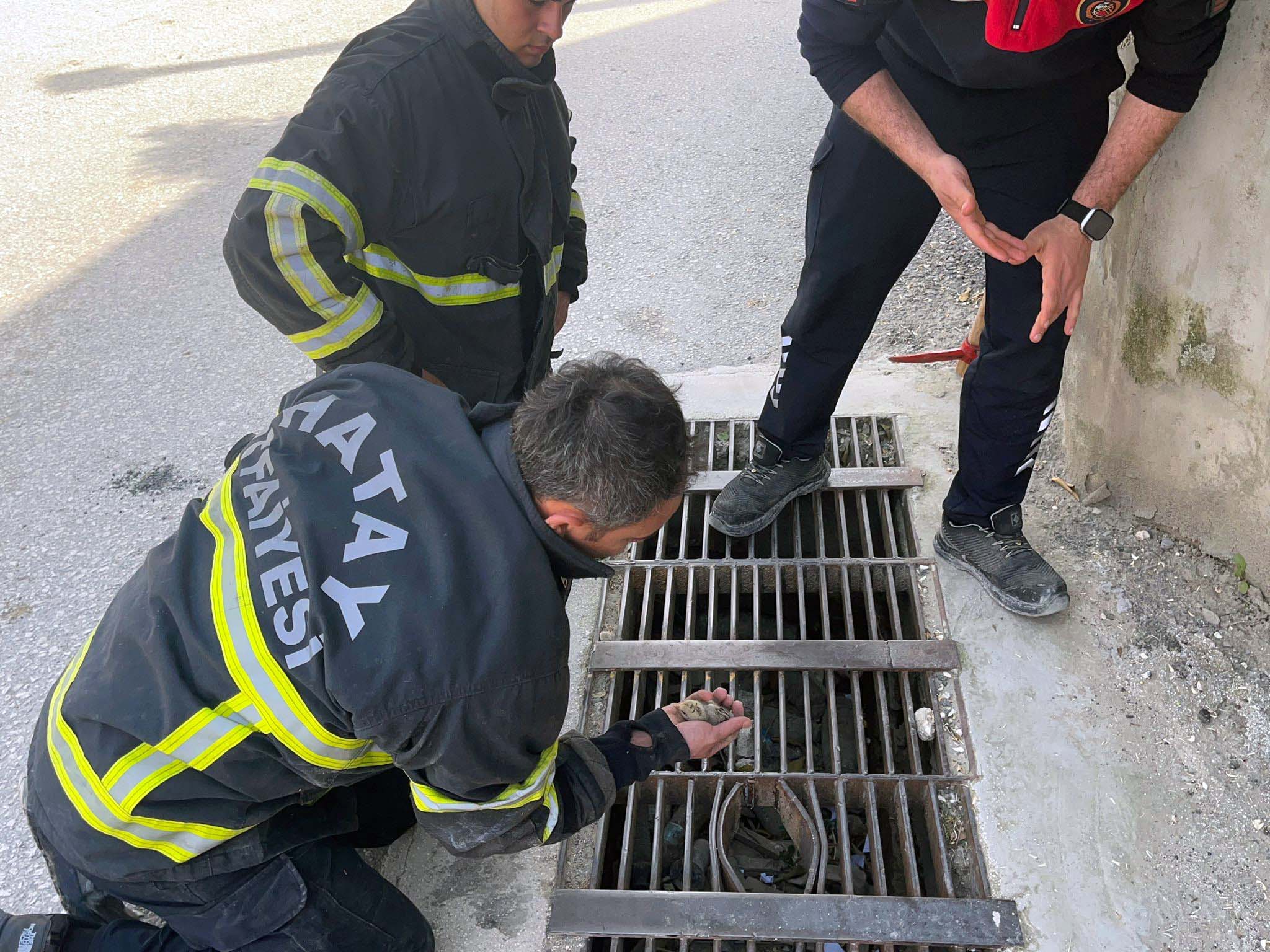 Hatay'da bir mazgala düşen