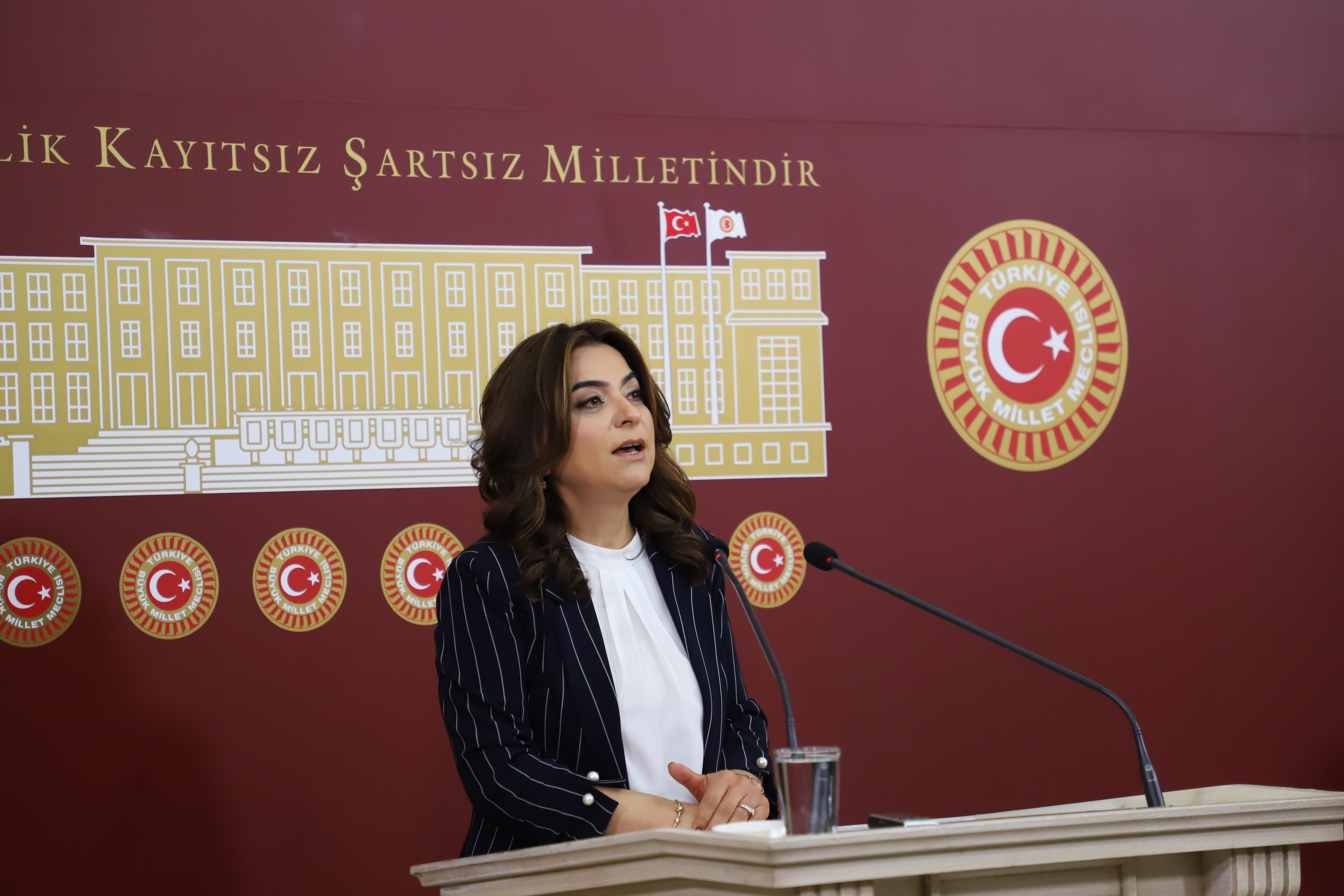 DEM Parti Grup Başkanvekili Gülistan