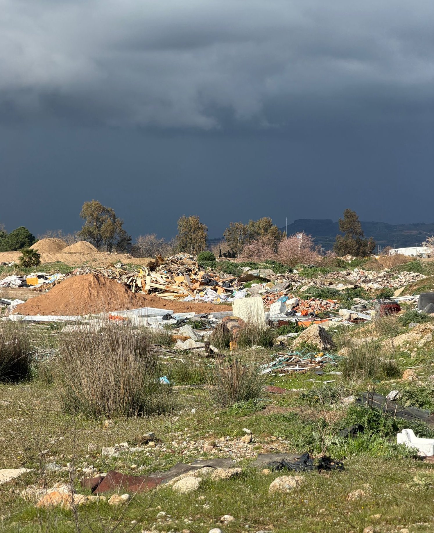 Antalya'da 263 kuş türüne ev