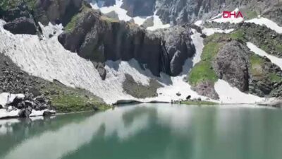 Prof. Dr. Faruk Alaeddinoğlu, Hakkari'deki