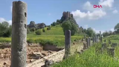 Kültür ve Turizm Bakanı Mehmet