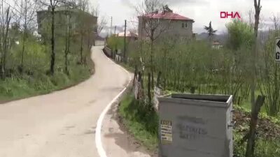 Trabzon Büyükşehir Belediyesi, fındık ve