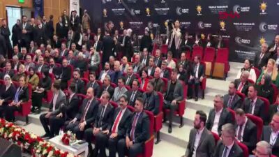 AK Parti Genel Başkan Yardımcısı