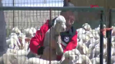 Tarım ve Orman Bakanı İbrahim