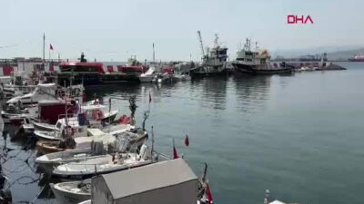 Tarım ve Orman Bakanlığı'nın av