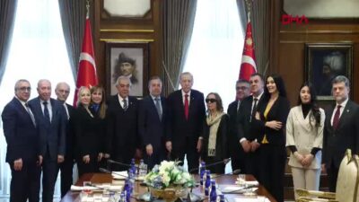 Cumhurbaşkanı Recep Tayyip Erdoğan, Türk