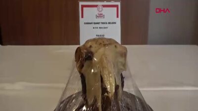 Sivas Kellesi, Türk Patent ve