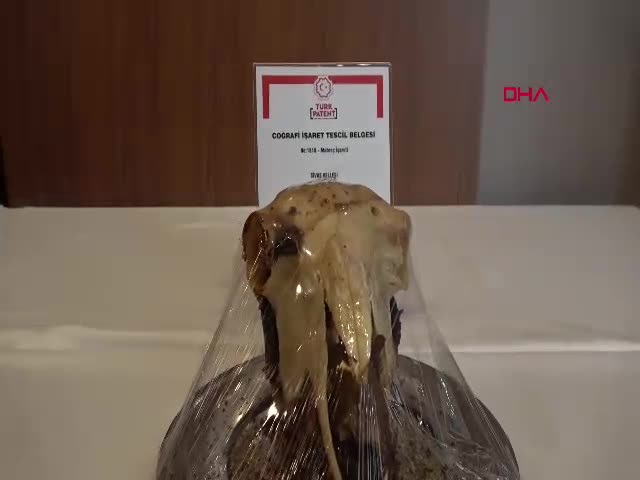 Sivas Kellesi, Türk Patent