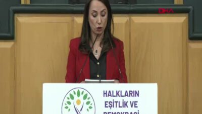 DEM Parti Eş Genel Başkanı