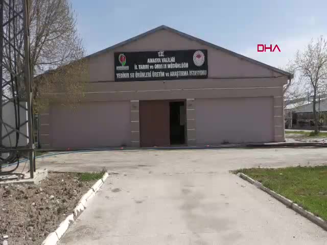 Amasya'da Tarım ve Orman