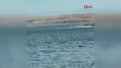 Eber Gölü’nü Kurtarma Projesi AB’den Onay Alamadı: Valilik Eksikleri Tamamlayıp Yeniden Başvuracak