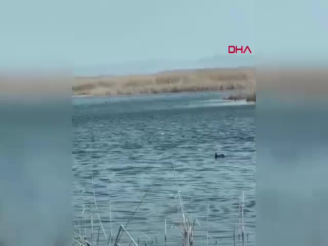 Afyonkarahisar'daki Eber Gölü için