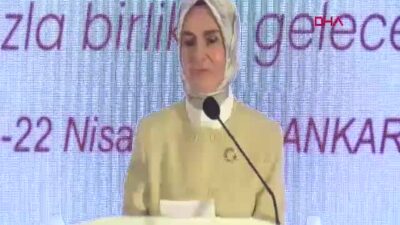 Cumhurbaşkanı Yardımcısı Cevdet Yılmaz, TÜİK