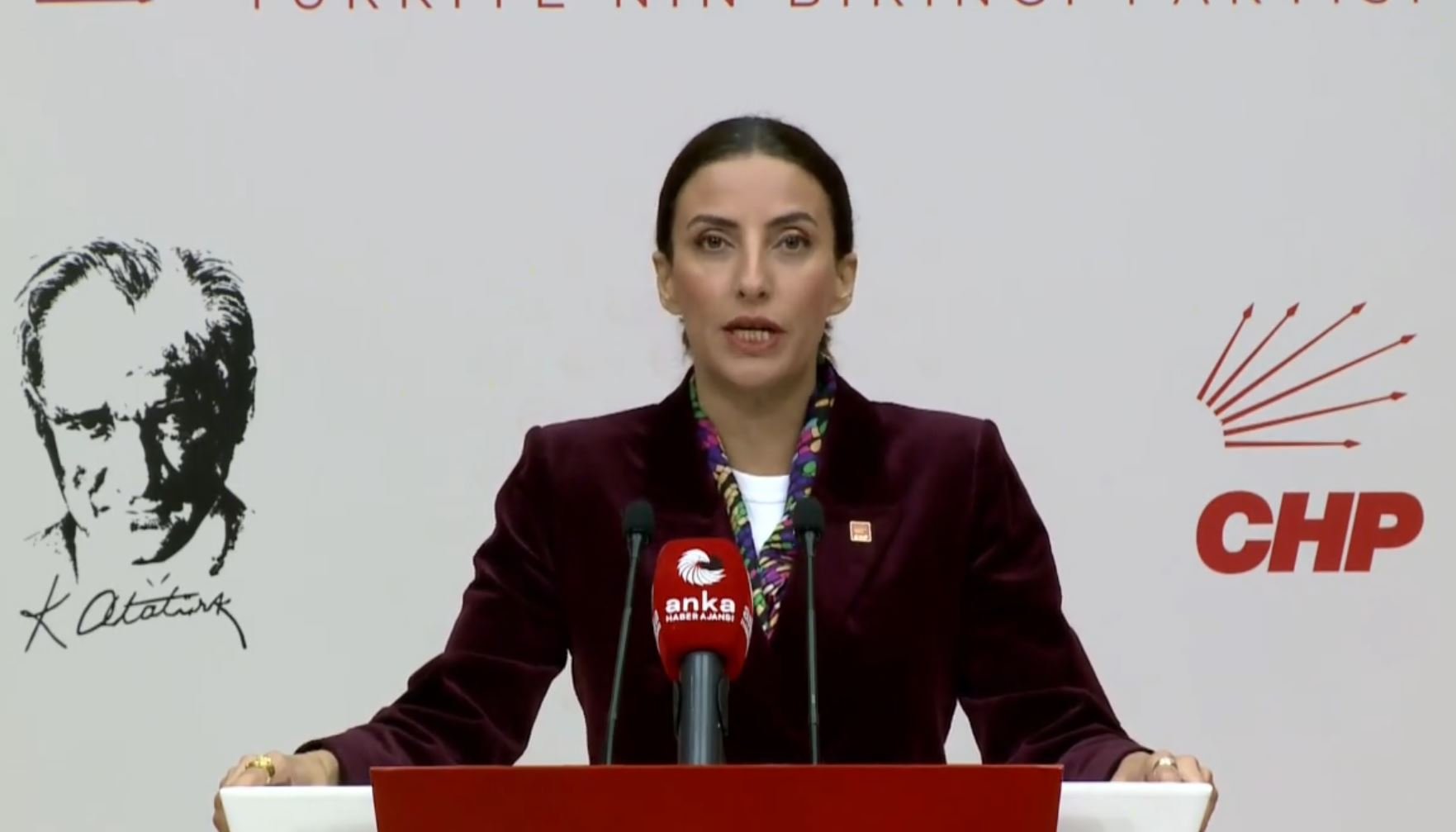 CHP Genel Başkan Yardımcısı Evrim