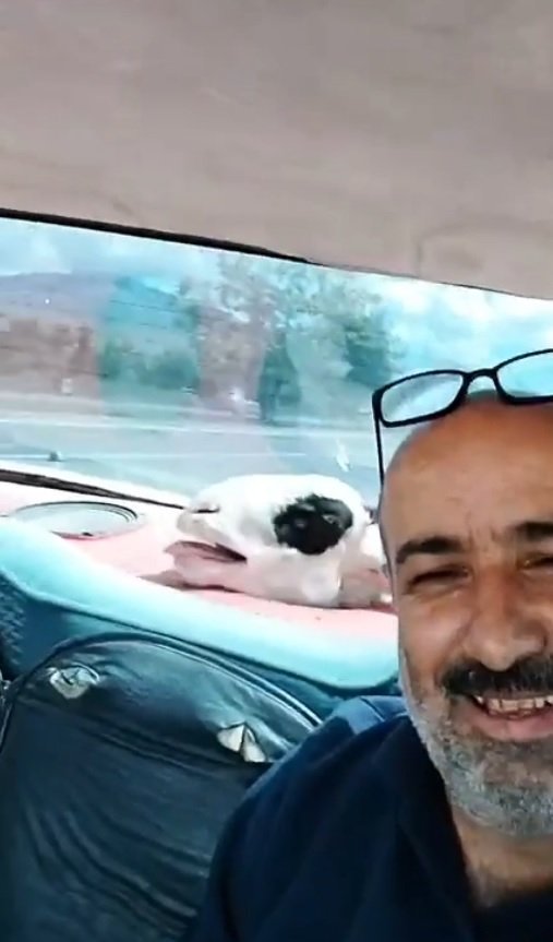 Niğde'de Kurban Bayramı'nda Ali Uyanık,