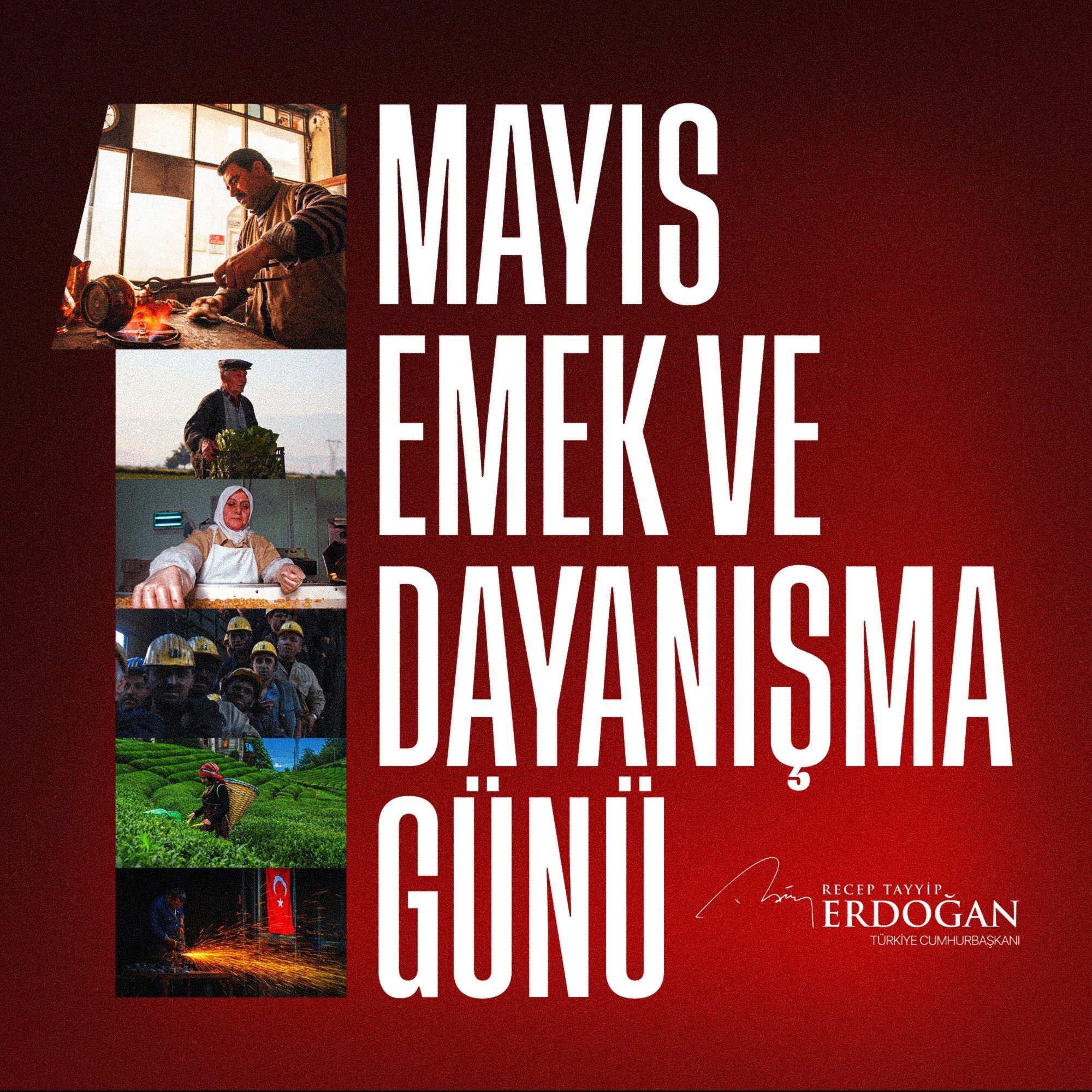 Cumhurbaşkanı Recep Tayyip Erdoğan, 1