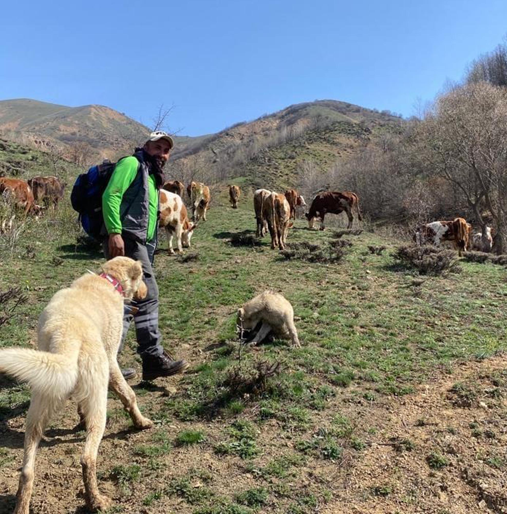 Erzincan Refahiye'de çiftçi Baki Kaya,
