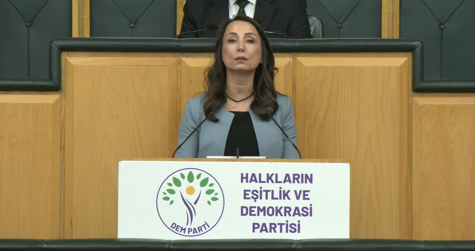 DEM Parti Eş Genel Başkanı