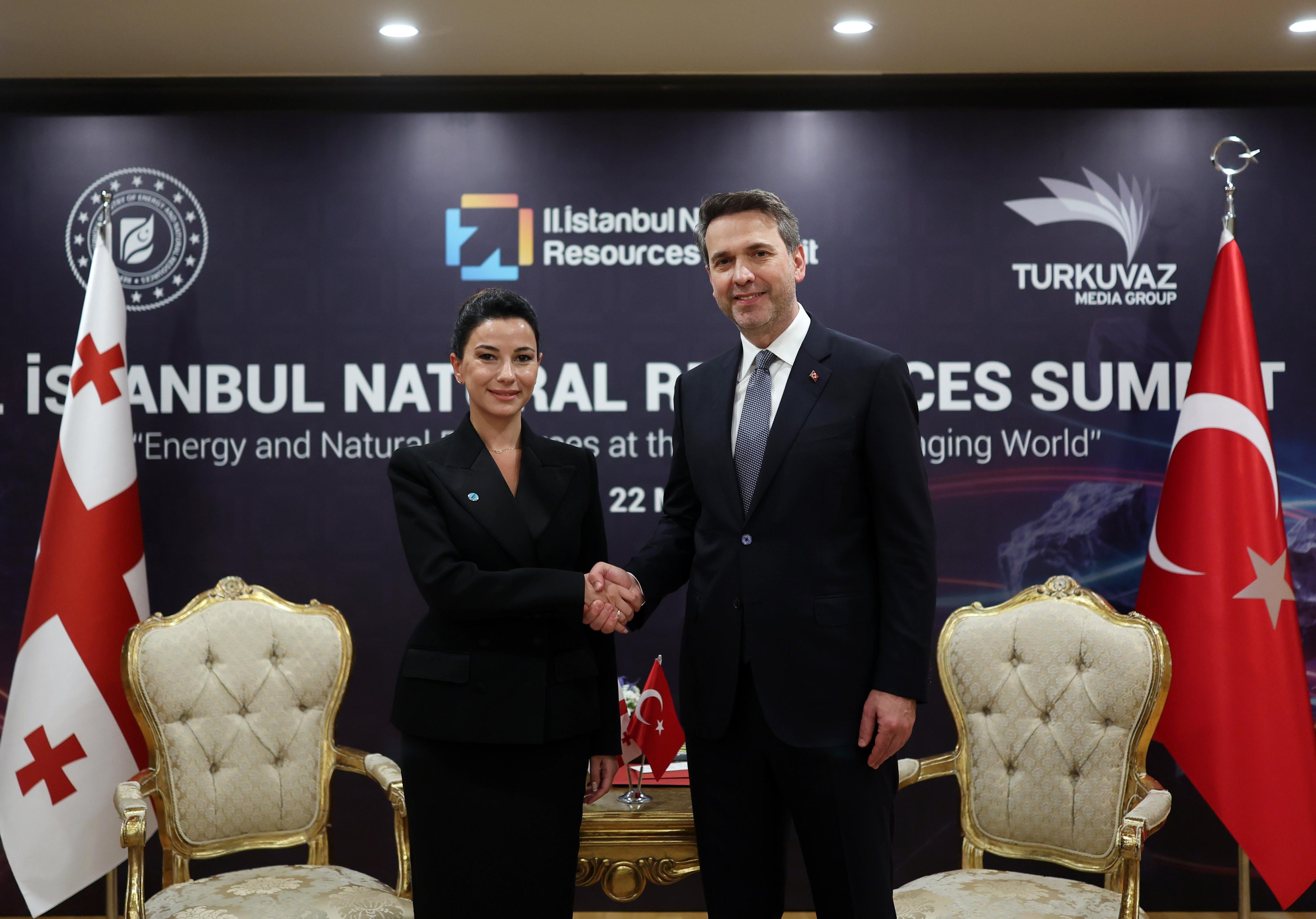Enerji Bakanı Alparslan Bayraktar, Gürcistan