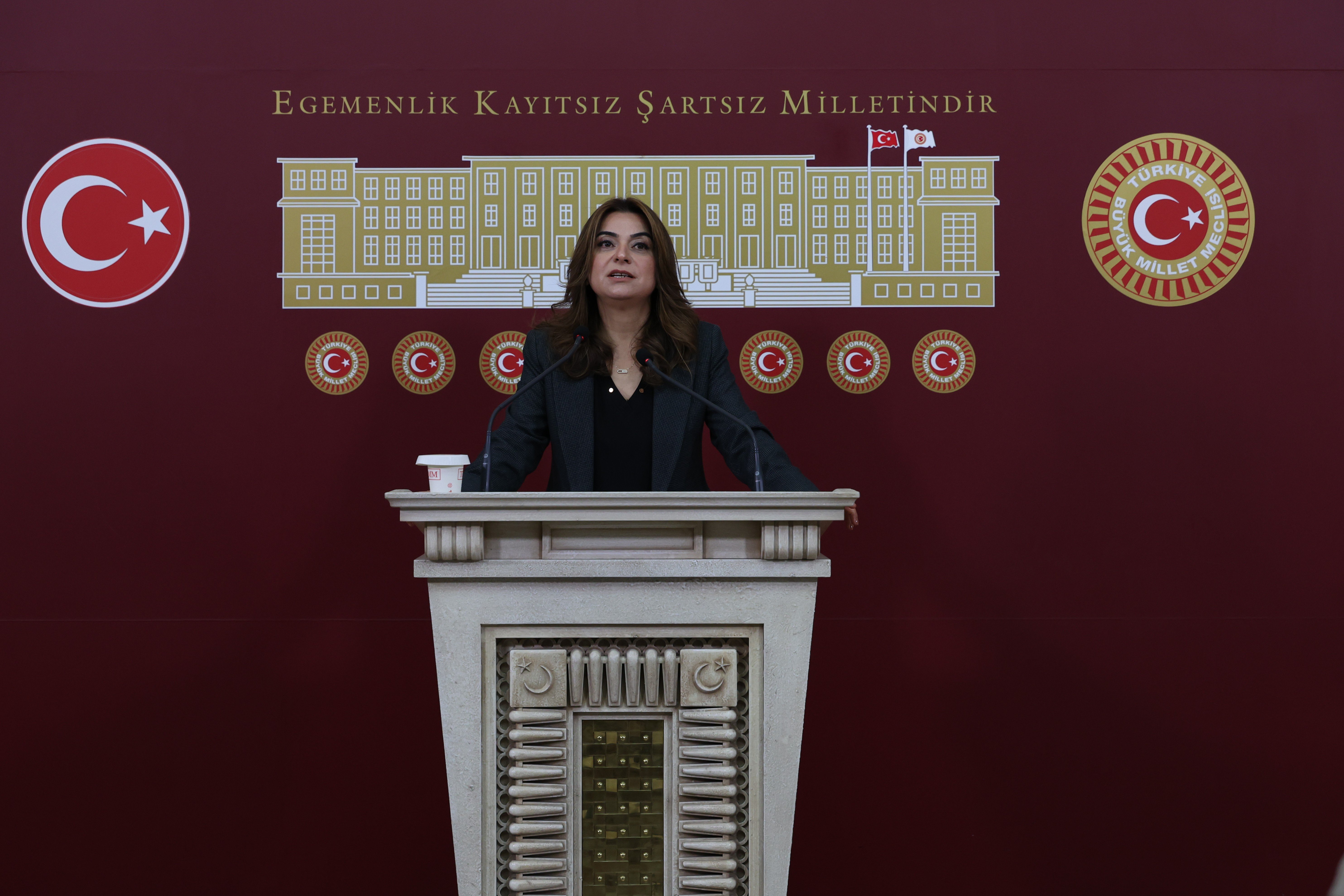 DEM Parti Grup Başkanvekili Gülistan
