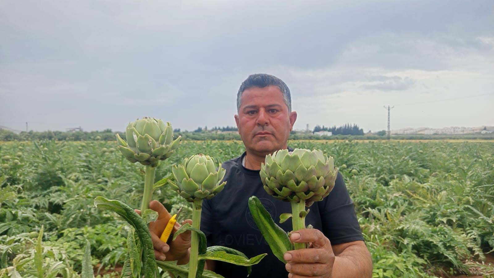 Hatay'ın Reyhanlı ilçesinde çiftçi Mustafa