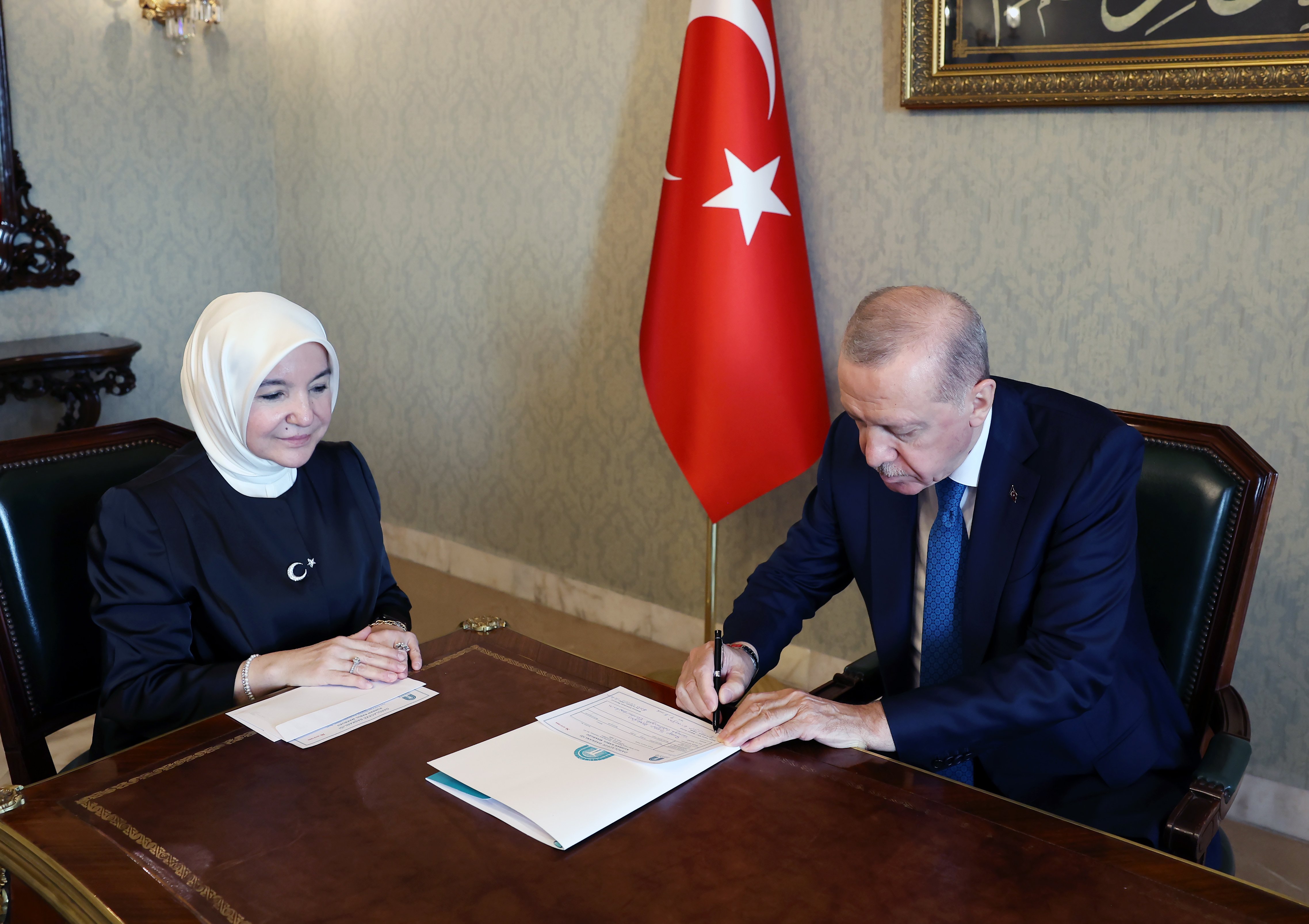 Cumhurbaşkanı Recep Tayyip Erdoğan, Darülaceze