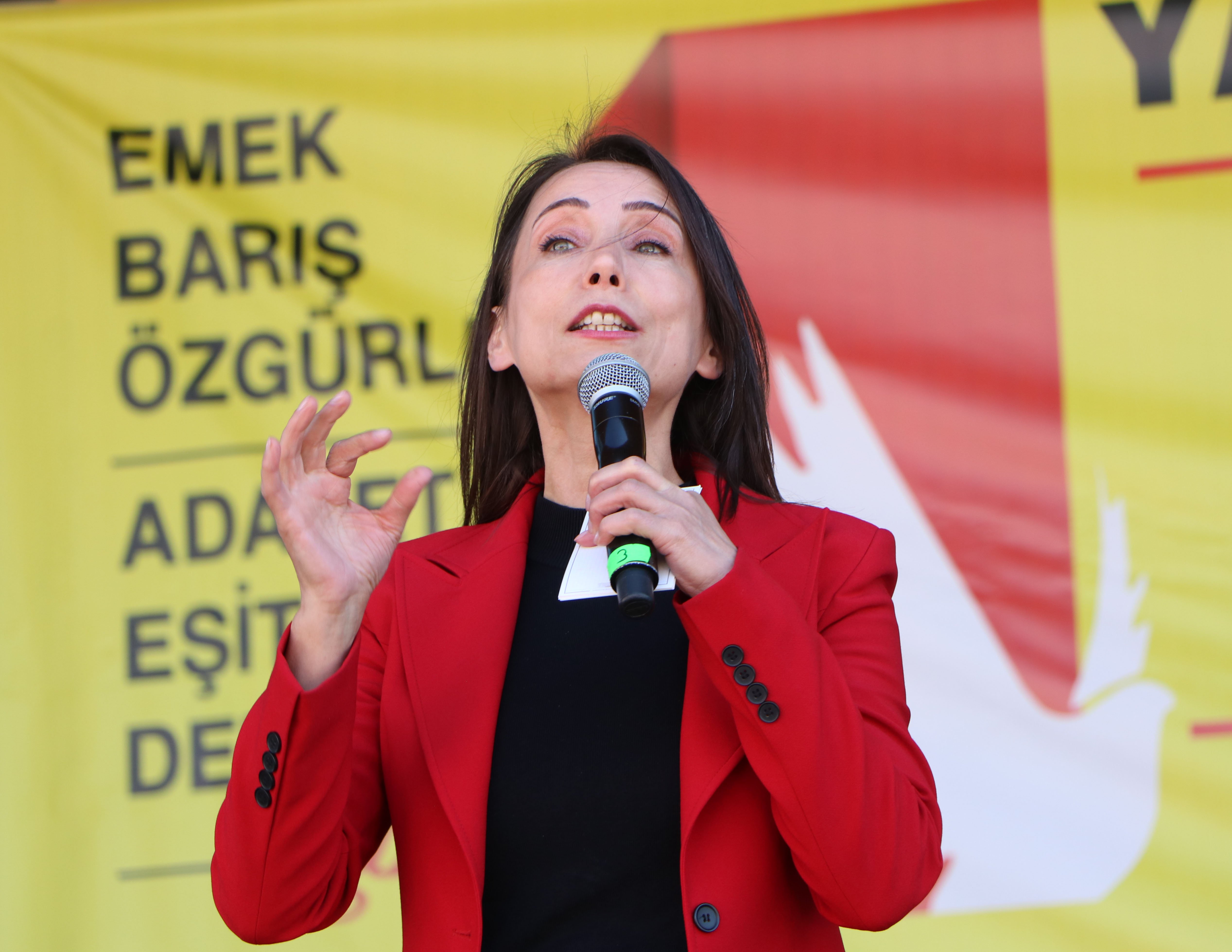 DEM Parti Eş Genel Başkanı