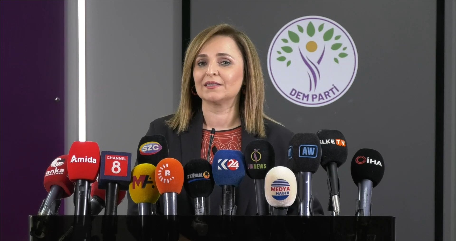 DEM Parti Sözcüsü Ayşegül Doğan,