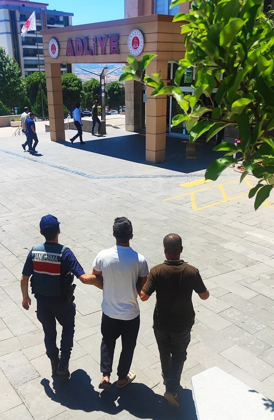 Kahramanmaraş'ta şakalaşırken 92 hektar ormanı
