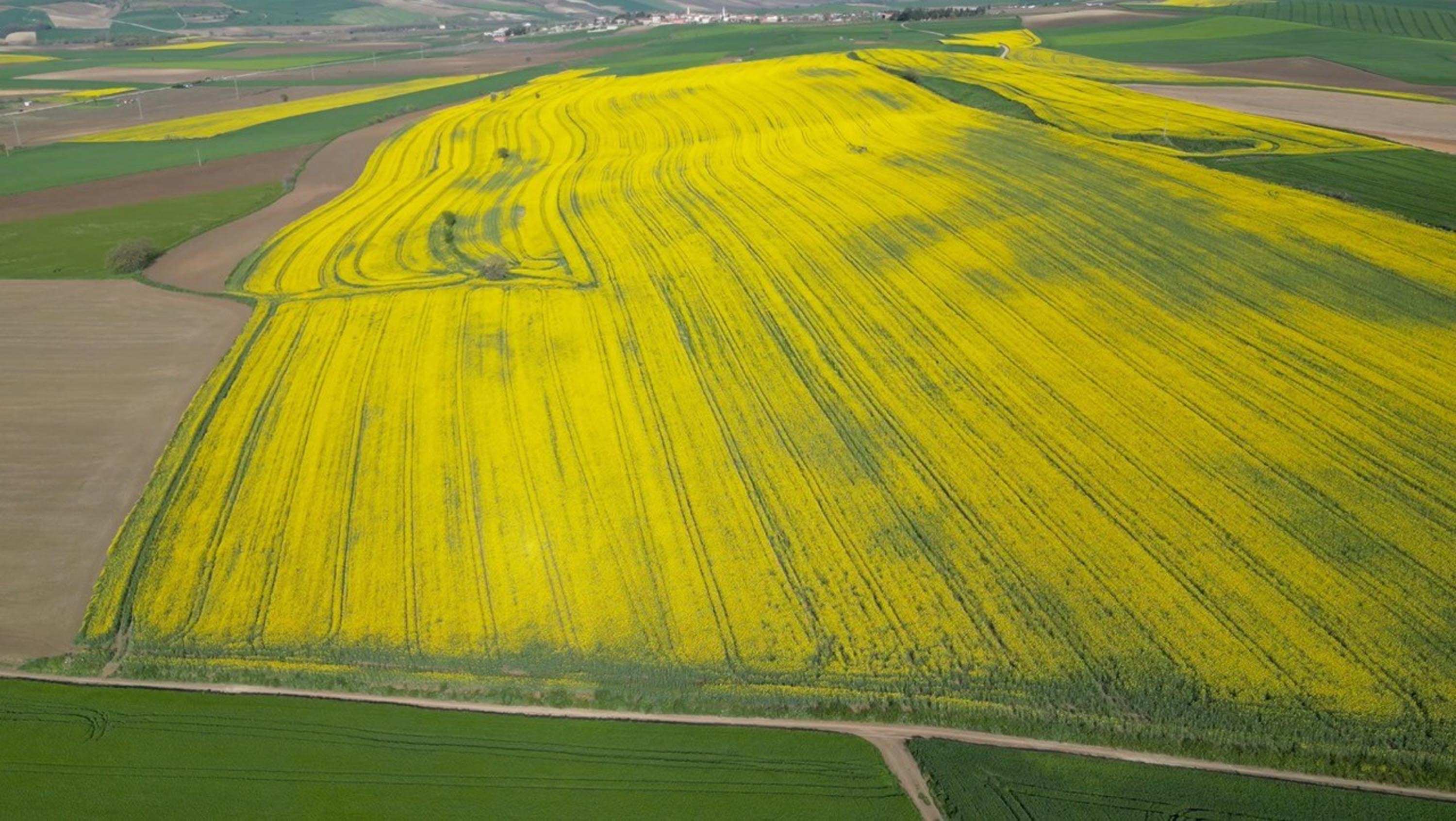 Tekirdağ İl Tarım ve Orman