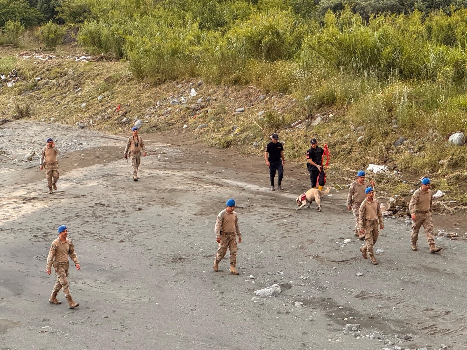 Hatay'da şiddetli sağanak sonrası Asi