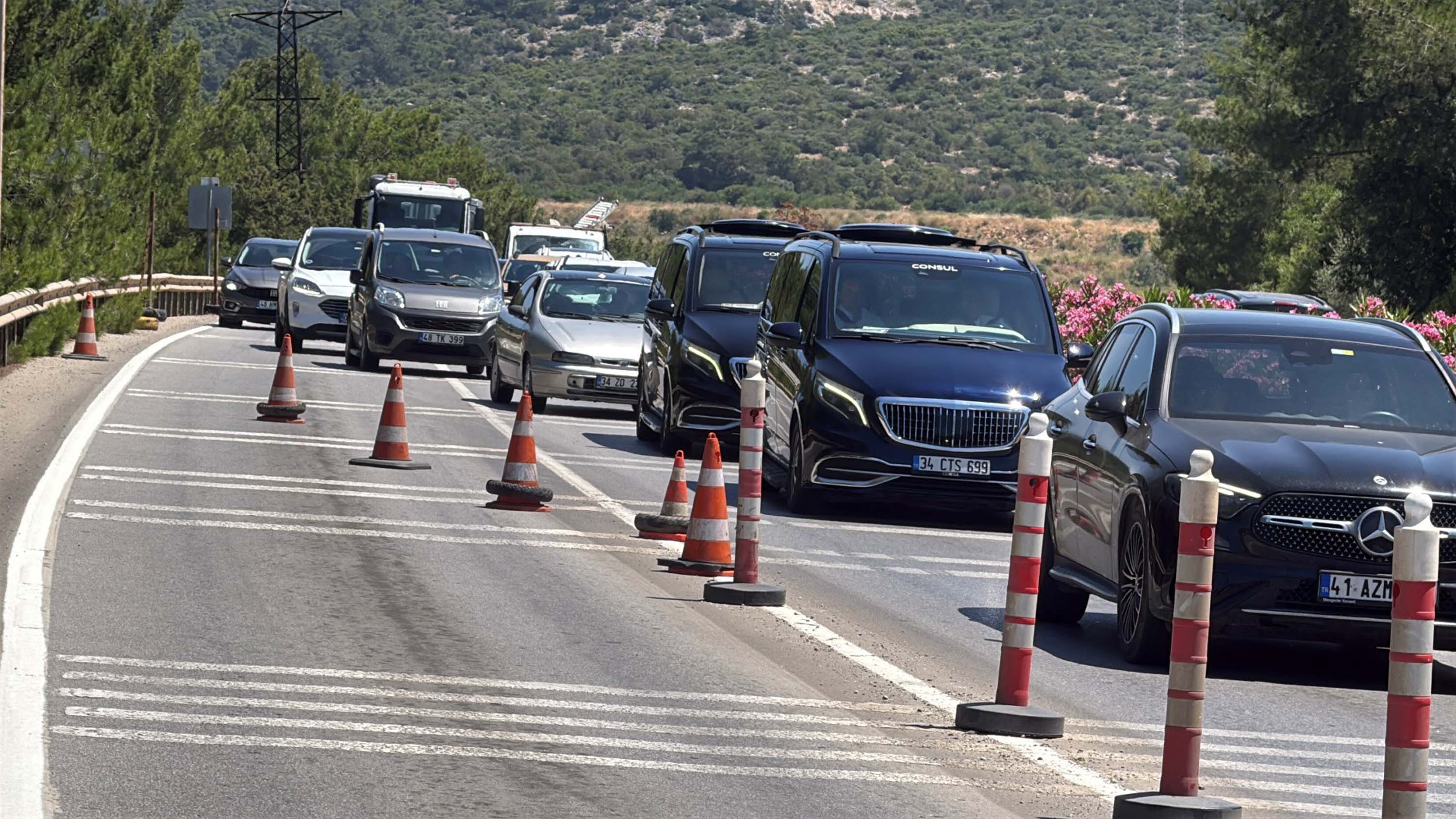 Bodrum Kaymakamı Ali Sırmalı, Kurban