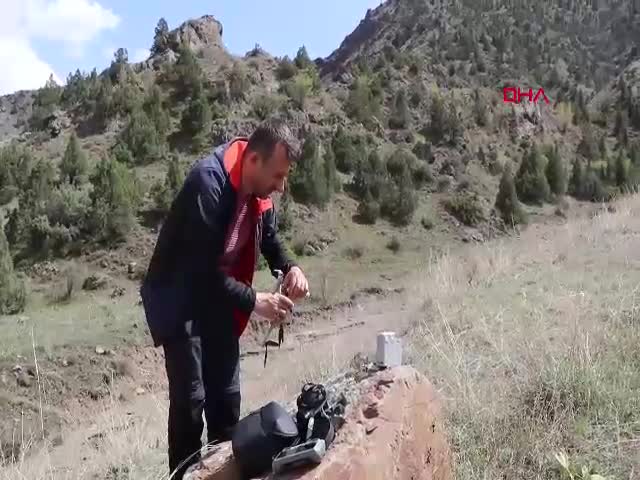 Erzurum Oltu'da arazide dolaşan