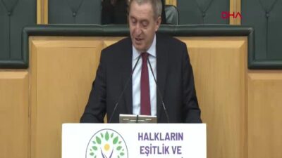 DEM Parti Eş Genel Başkanı