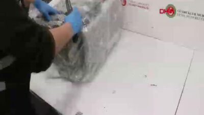 Ticaret Bakanlığı Gümrükler Muhafaza birimleri,