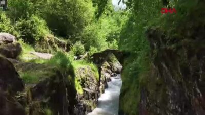 Ordu'nun Çamaş ilçesindeki Çamaş Kanyonu,