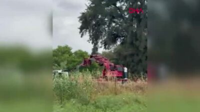 Mersin Tarsus'ta Berdan Irmağı'na düşen