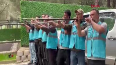 Yıldırım Belediyesi'nin kurduğu kurban yakalama