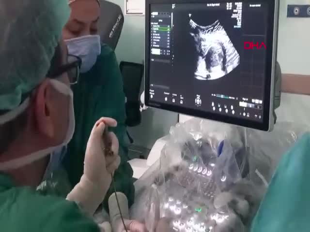 Prof. Dr. Selahattin Kumru,