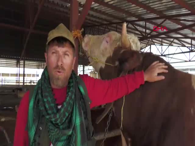 Kırşehir Hayvan Pazarı'nda Kurban
