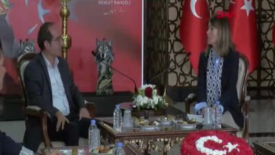 DEM Parti heyeti, MHP Genel