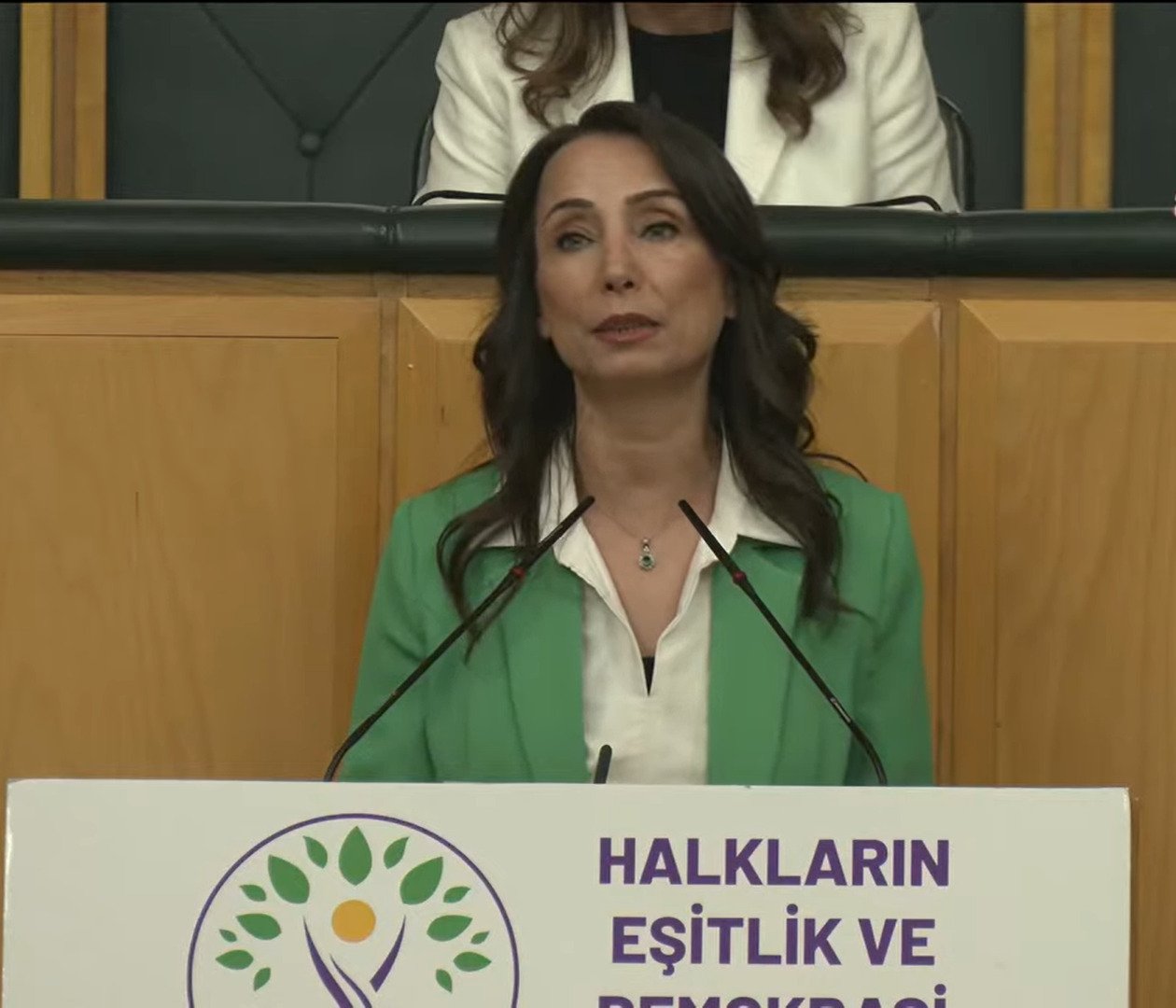 DEM Parti Eş Genel Başkanı