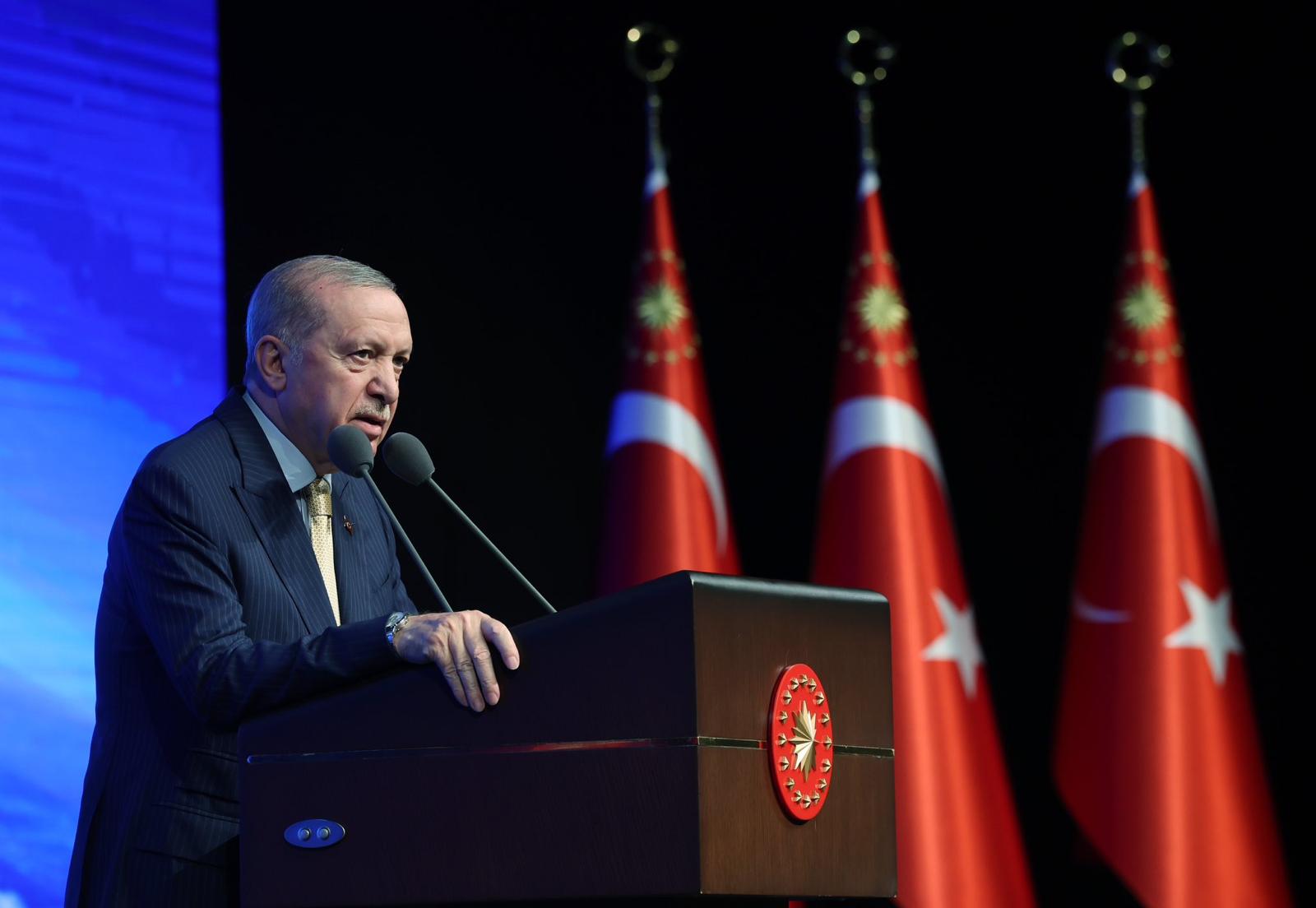 Cumhurbaşkanı Erdoğan, 2025 Yılı Yenilenebilir