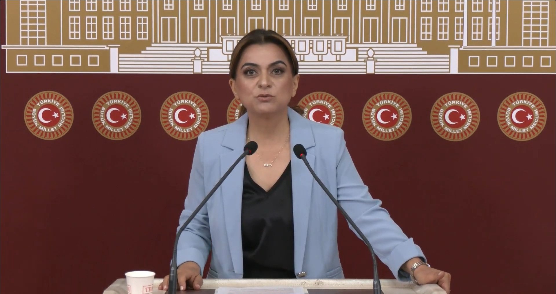 DEM Parti Grup Başkanvekili Gülistan