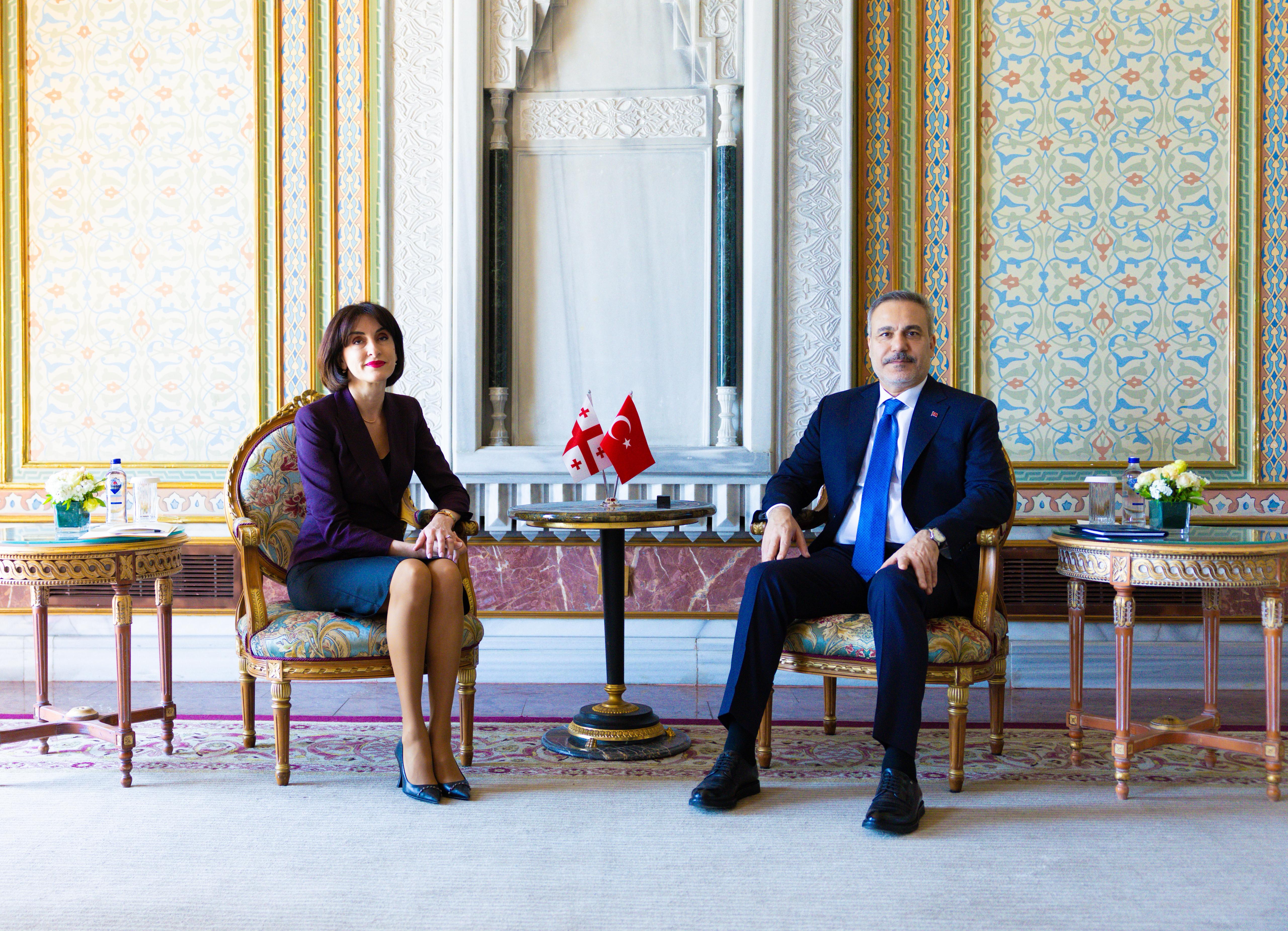 Dışişleri Bakanı Hakan Fidan, Gürcistan
