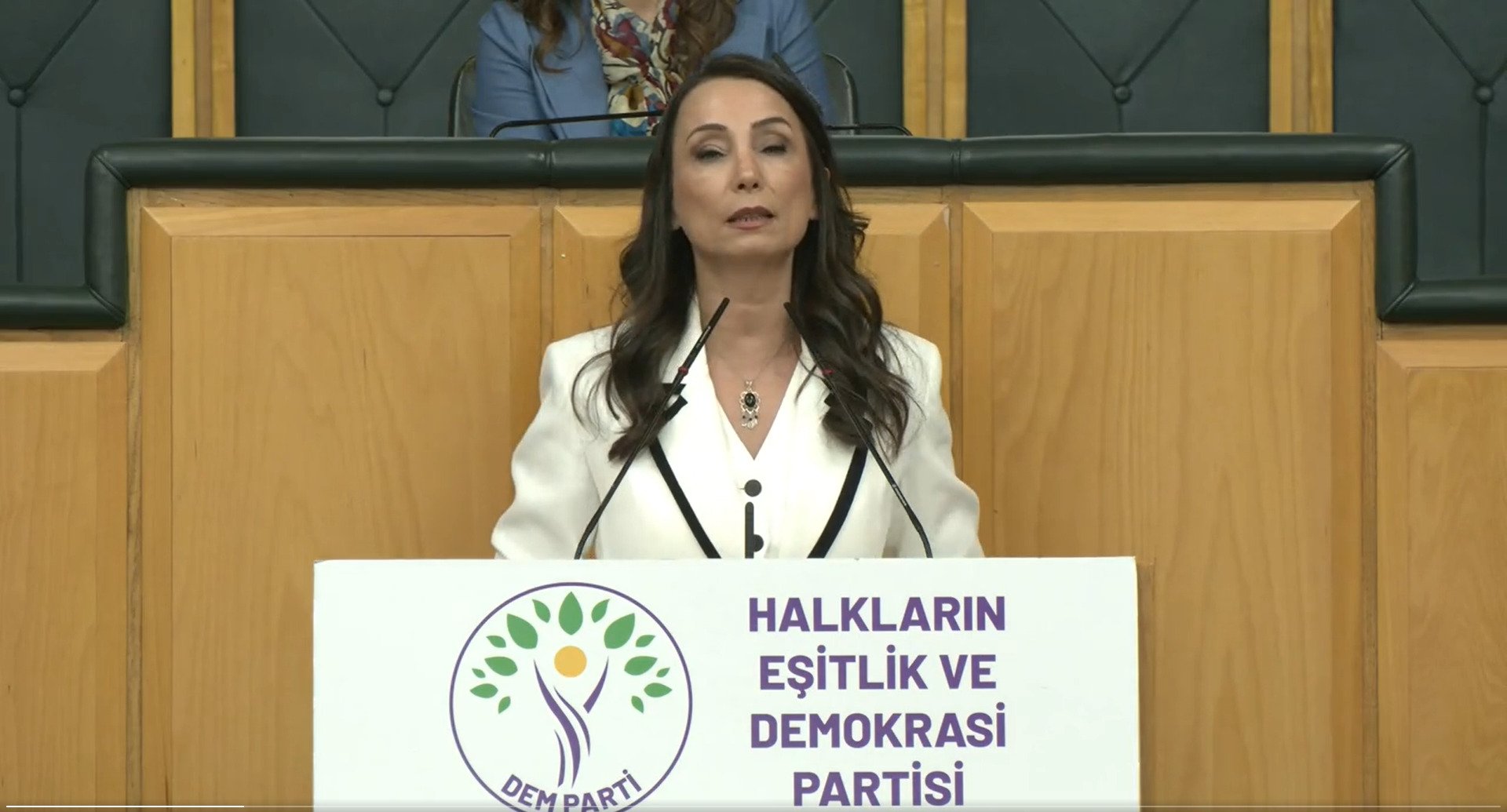 DEM Parti Eş Genel Başkanı